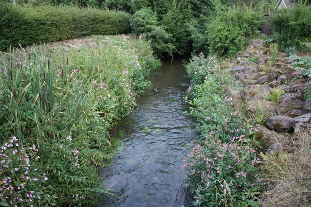 Gite Du Moulin Uhrwiller Luaran gambar